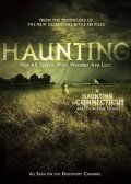 Movies A Haunting in Connecticut poster