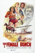 Movies The Female Bunch poster