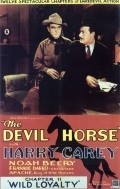 Movies The Devil Horse poster