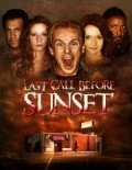 Movies Last Call Before Sunset poster