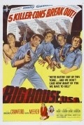 Movies Big House, U.S.A. poster