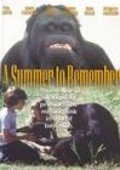 Movies A Summer to Remember poster