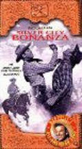 Movies Silver City Bonanza poster