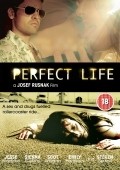 Movies Perfect Life poster