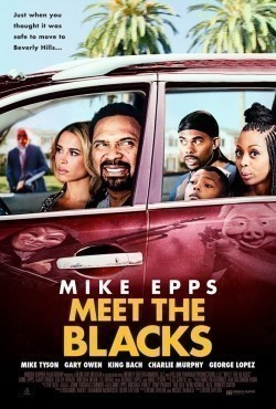 Movies Meet the Blacks poster
