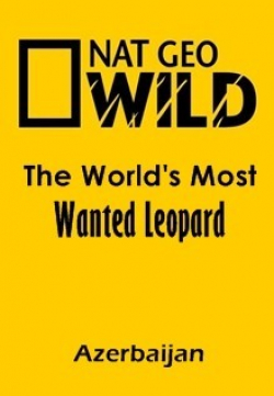 Movies The World's Most Wanted Leopard (Azerbaijan) poster