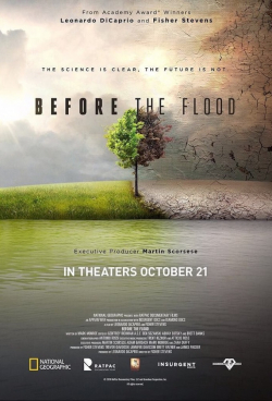 Movies Before the Flood poster