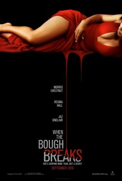 Movies When the Bough Breaks poster