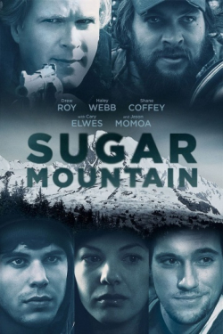 Movies Sugar Mountain poster