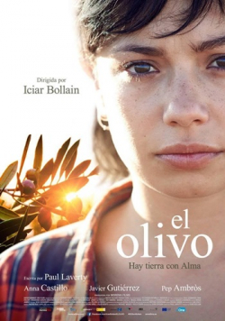 Movies El olivo poster