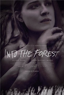 Movies Into the Forest poster