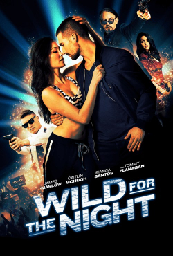 Movies Wild for the Night poster