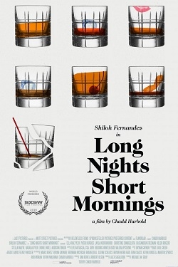 Movies Long Nights Short Mornings poster