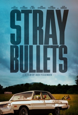 Movies Stray Bullets poster