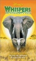 Movies Whispers: An Elephant's Tale poster