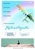 Movies Meteoidiot poster