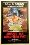 Movies Dai ying xiong poster