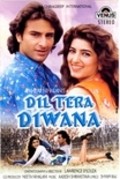 Movies Dil Tera Diwana poster