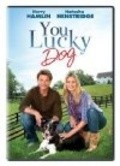 Movies You Lucky Dog poster