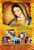 Movies Before We Say Goodbye poster