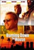 Movies Burning Down the House poster