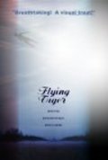 Movies Flying Tiger poster