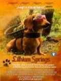 Movies Lithium Springs poster