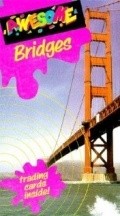 Movies Bridges poster