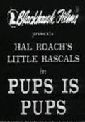 Movies Pups Is Pups poster