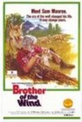 Movies Brother of the Wind poster