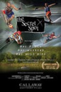 Movies The Secret Spot poster