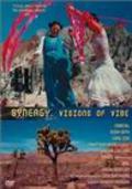 Movies Synergy: Visions of Vibe poster