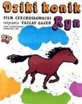 Movies Divoky konik Ryn poster