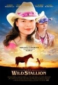 Movies The Wild Stallion poster