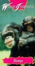 Movies Chimps: So Like Us poster