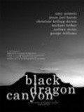 Movies Black Dragon Canyon poster