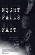 Movies Night Falls Fast poster