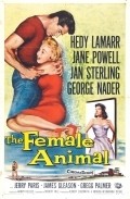 Movies The Female Animal poster