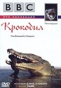 Movies Crocodile poster