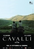 Movies Cavalli poster