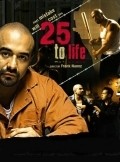 Movies 25 to Life poster
