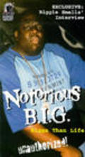 Movies Notorious B.I.G.: Bigga Than Life poster