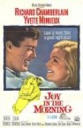 Movies Joy in the Morning poster