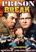 Movies Prison Break poster