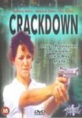 Movies L.A. Crackdown poster