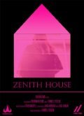 Movies Zenith House poster