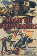Movies King of the Forest Rangers poster