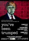 Movies You've Been Trumped poster