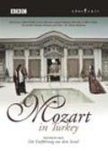 Movies Mozart in Turkey poster