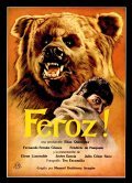 Movies Feroz poster